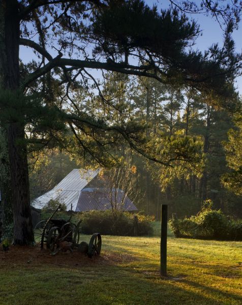 One sunrise at Tobacco Farm