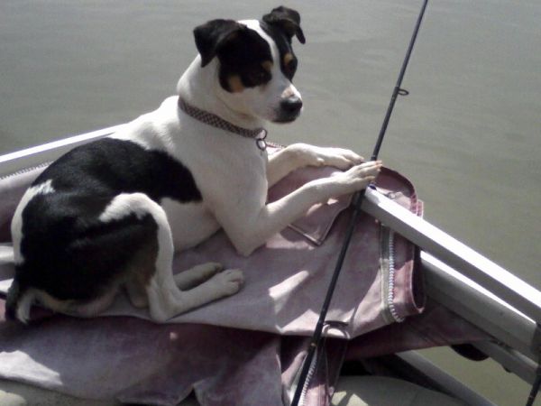 fishing partner q/p