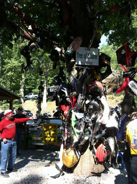 Tree of Shame / Deals Gap N.C.