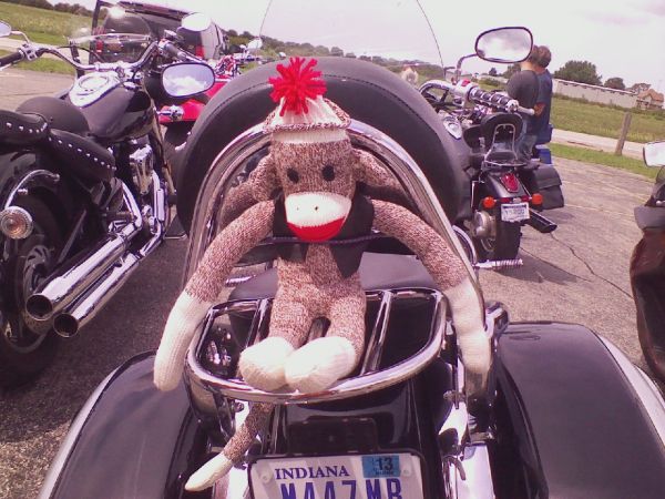 Monkey on a ride!