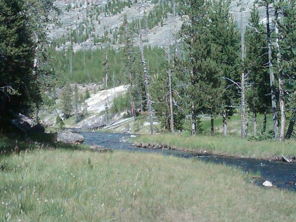 Yellowstone Park